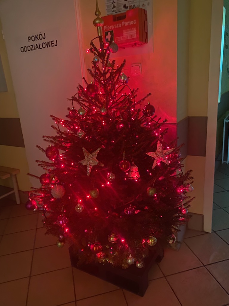 Hrubieszów w gwiazdkowym nastroju